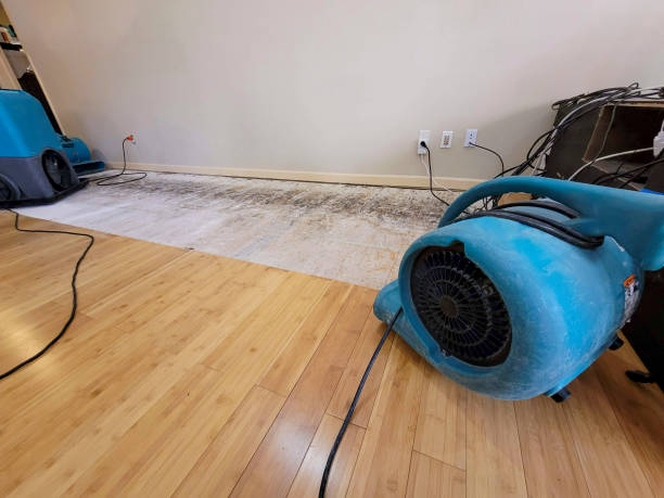 Professional Structural Drying technician working in Mansfield, AR